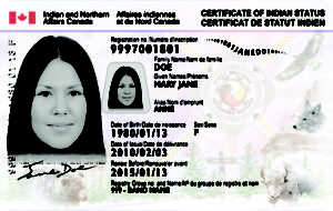 Sample Status Card