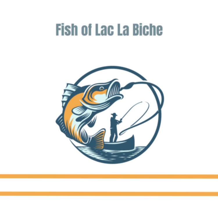fish of lac la biche